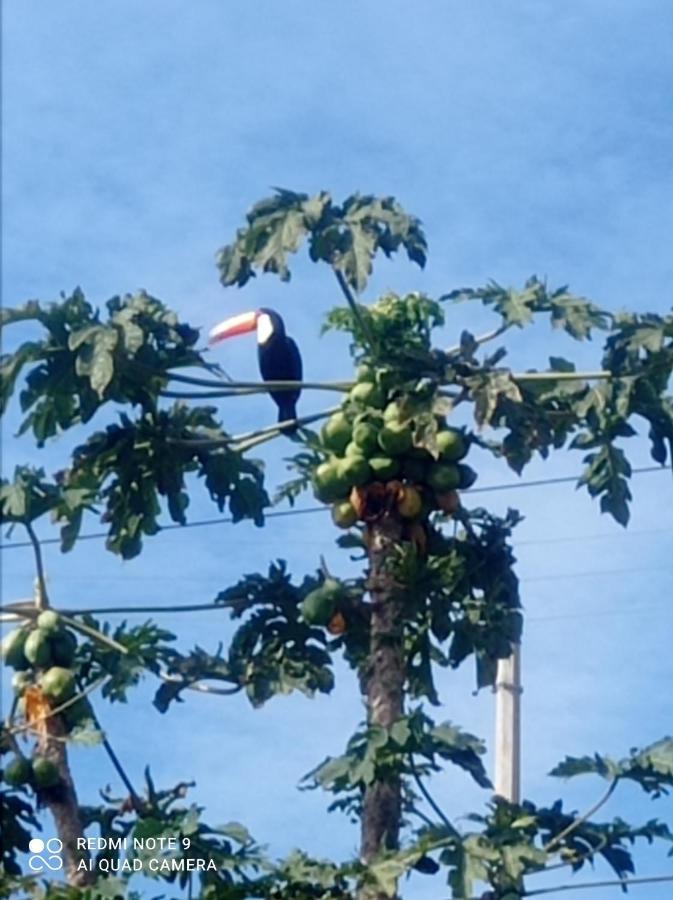 Chacara Recanto Das Pedras Para 8 Pessoas Serra Negra  Exterior foto